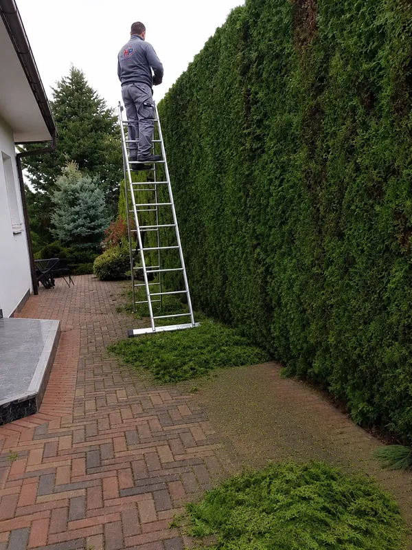 gartenpflege hecke leiter 01