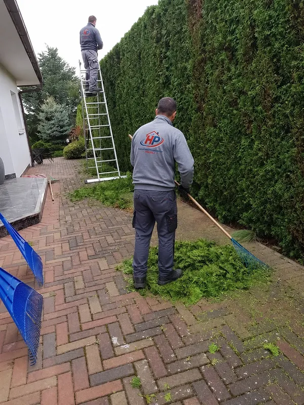 gartenpflege hecke leiter 03