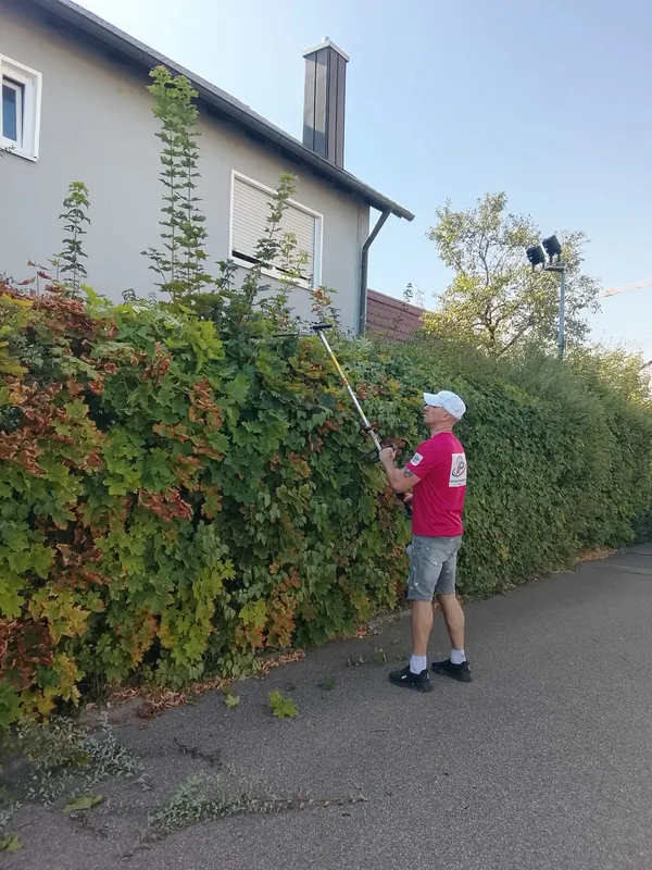 gartenpflege hecke schnitt 02