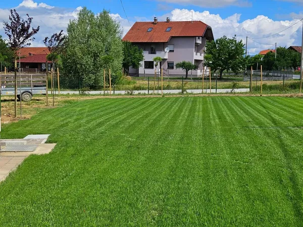 gartenpflege rasen gepflegt 02