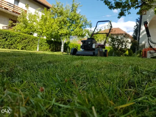 gartenpflege rasenmaeher