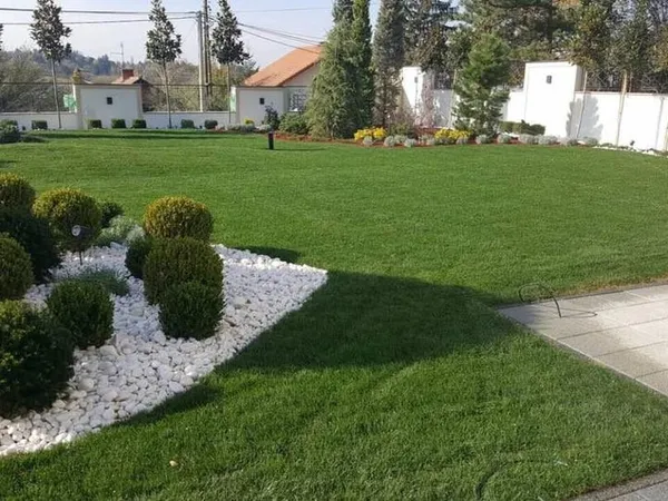 gartenpflege vorgarten rasen