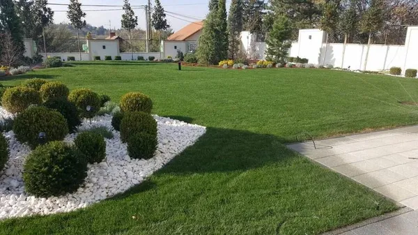 gartenpflege vorgarten rasen