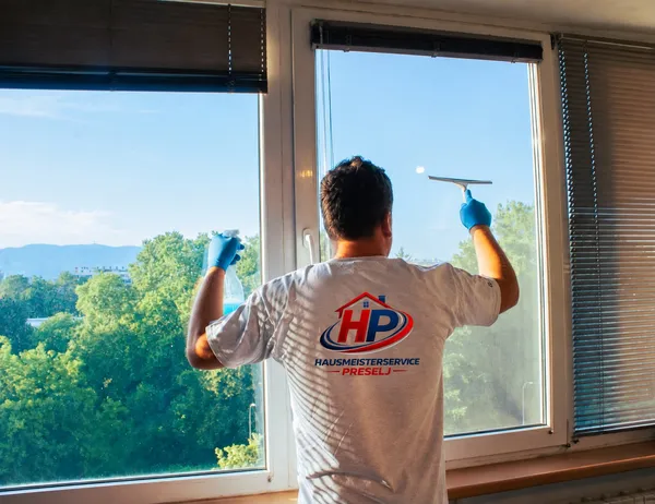reinigung silikon fensterreinigung hp