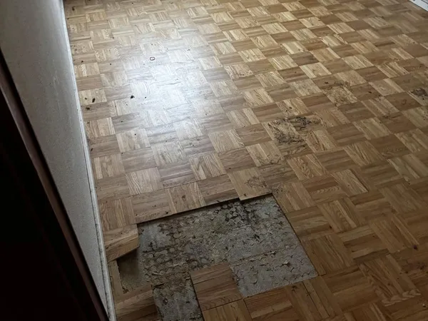 sanierung boden beschaedigt