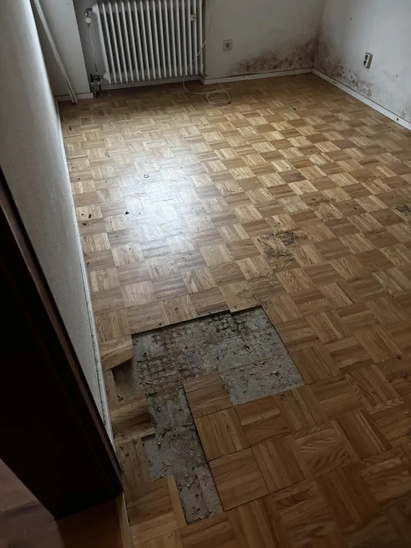 sanierung boden beschaedigt