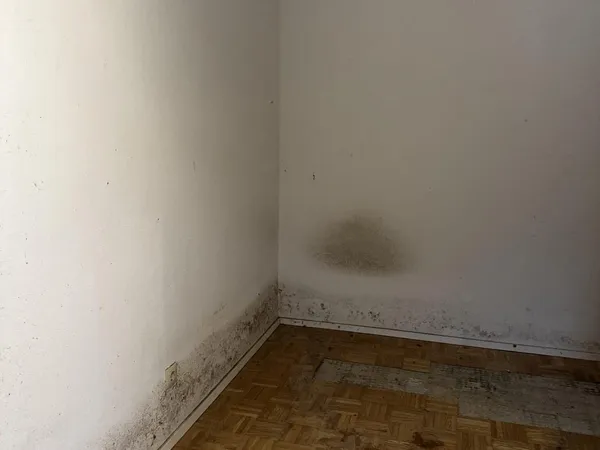 schimmelsanierung ecke vorher