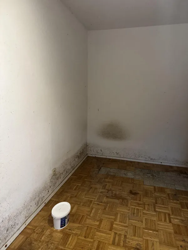 schimmelsanierung ecke vorher