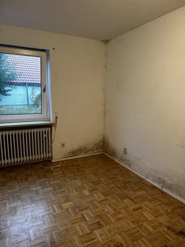 schimmelsanierung fenster vorher