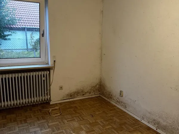 schimmelsanierung fenster vorher