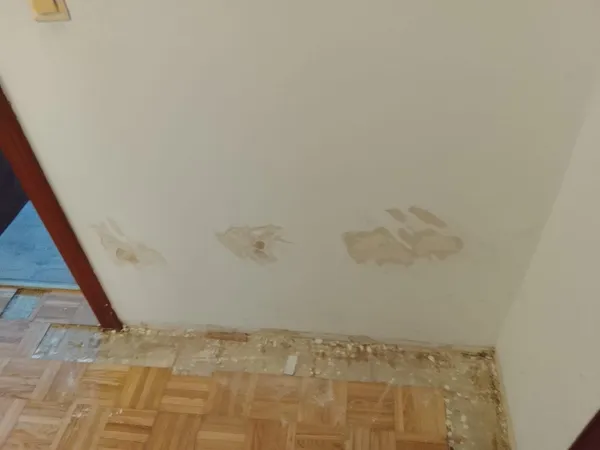 schimmelsanierung wand vorher 01