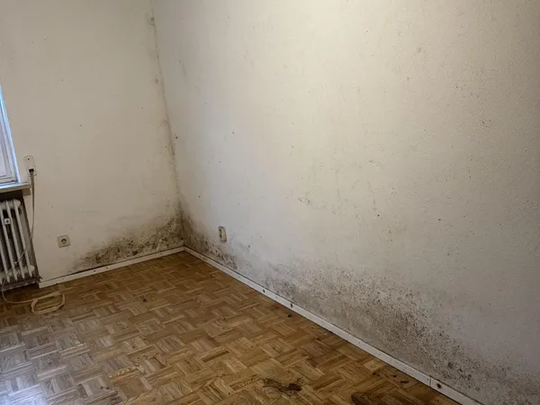 schimmelsanierung zimmer vorher 01