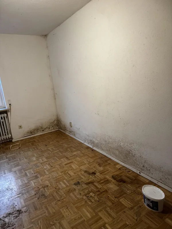 schimmelsanierung zimmer vorher 01