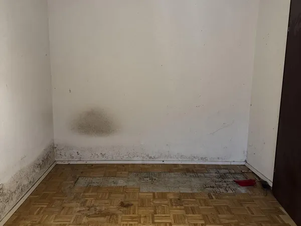 schimmelsanierung zimmer vorher 02
