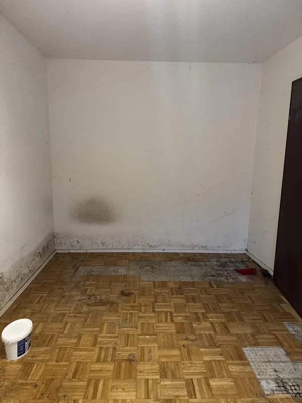 schimmelsanierung zimmer vorher 02